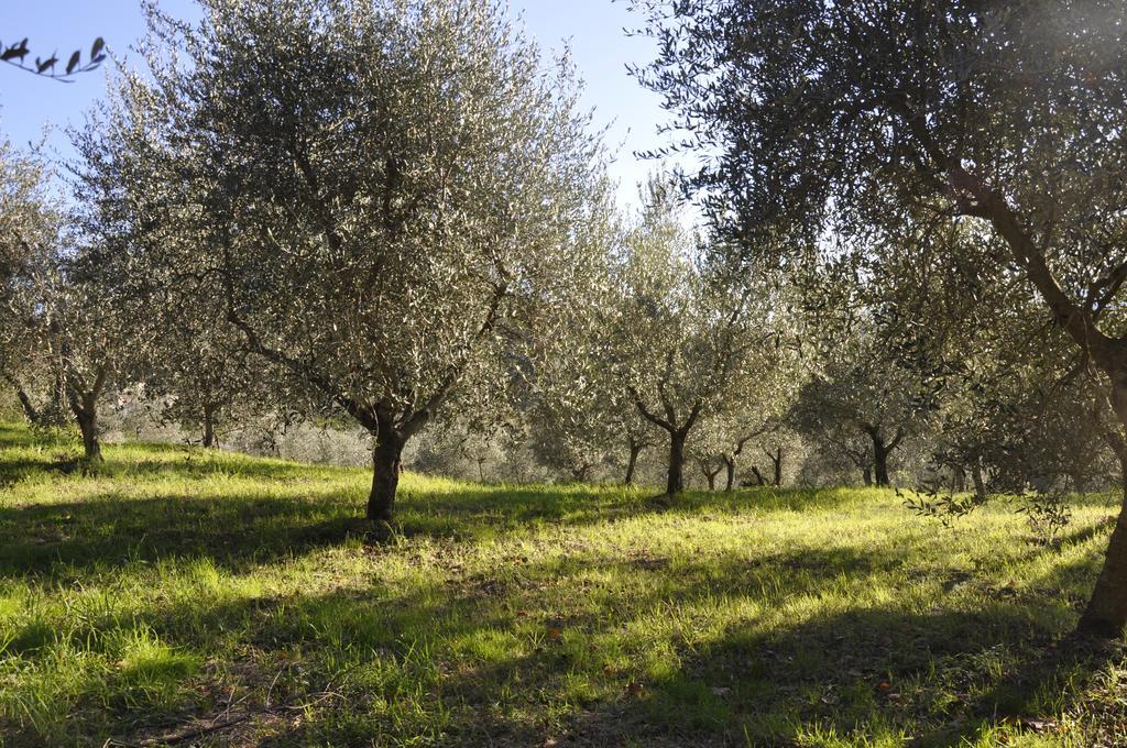 Podere Le Monache Montaione Kültér fotó