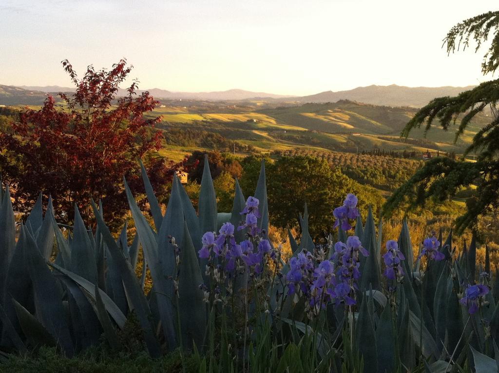 Podere Le Monache Montaione Kültér fotó
