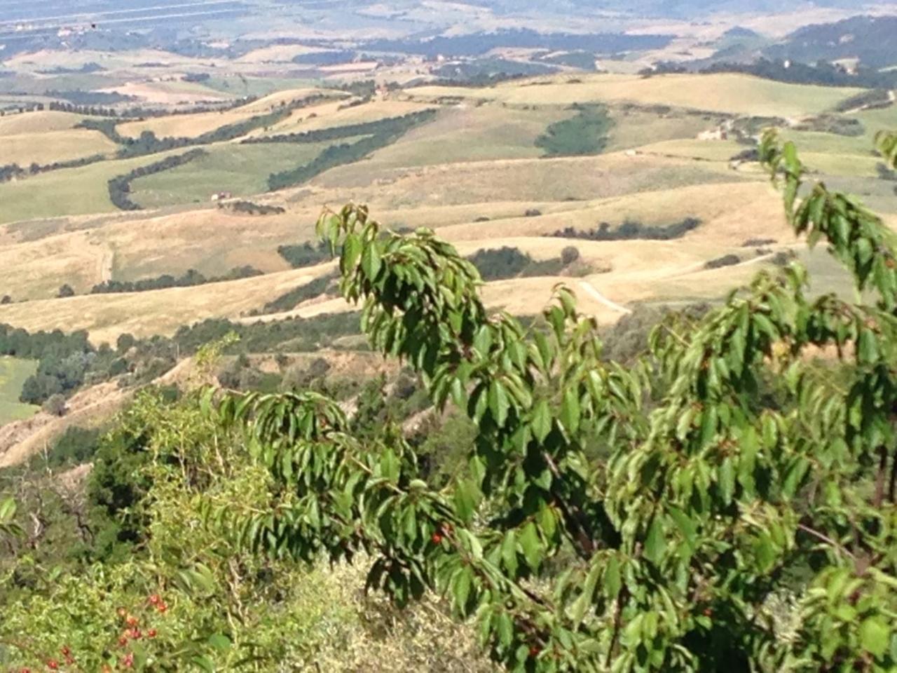 Podere Le Monache Montaione Kültér fotó