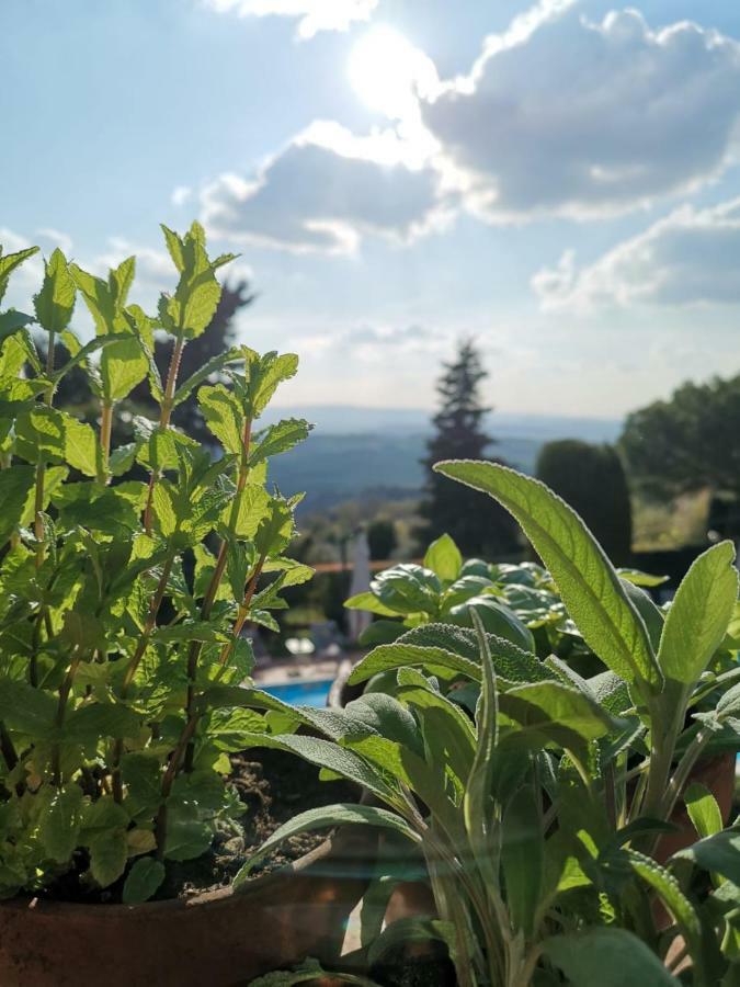 Podere Le Monache Montaione Kültér fotó
